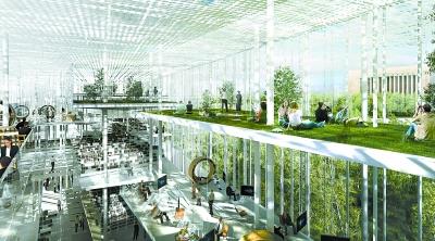 2025新澳门精准免费提供，警惕虚假宣传，精选解析落实