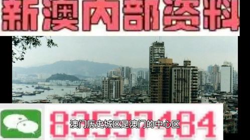 澳门和香港三肖三码精准100%黄大仙，警惕虚假宣传，精选解析落实