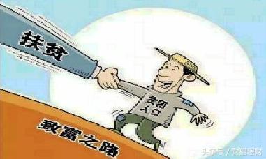 2025精准资料免费大全，警惕虚假宣传，精选解析落实